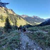 Berglandschaft Österreich